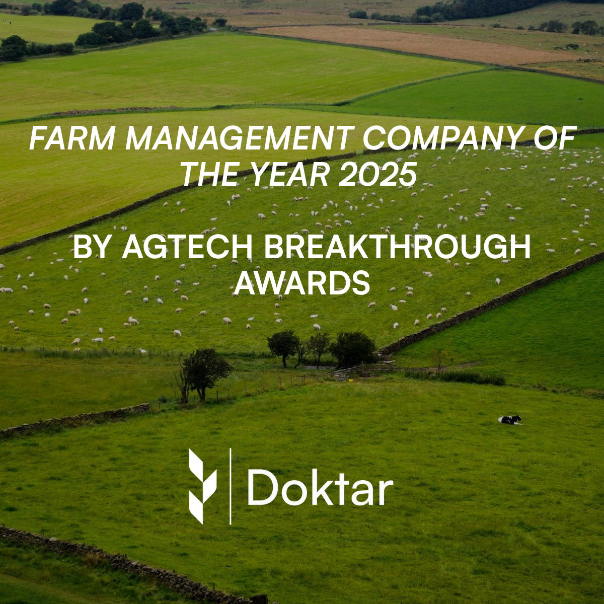 WE ARE IN THE FOODTECH (Linkedin Gönderisi)